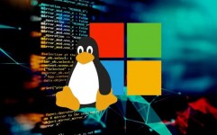 linux体系缝隙,辨认、防备与修正