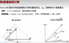 向量数据库与传统数据库,差异与交融