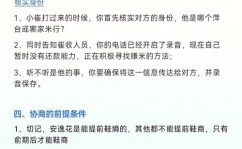 网贷大数据修正,揭秘信誉重建之路