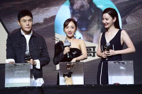 娱乐圈吃瓜博主合集,吃瓜博主合集大放送！  第3张